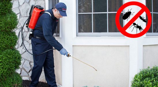 Yamanlar Böcek ve Haşere İlaçlama böcek ilaçlama ve haşere kontrolü — ilaclama-tr.com